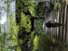 IMG_2522