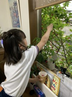 IMG_8428